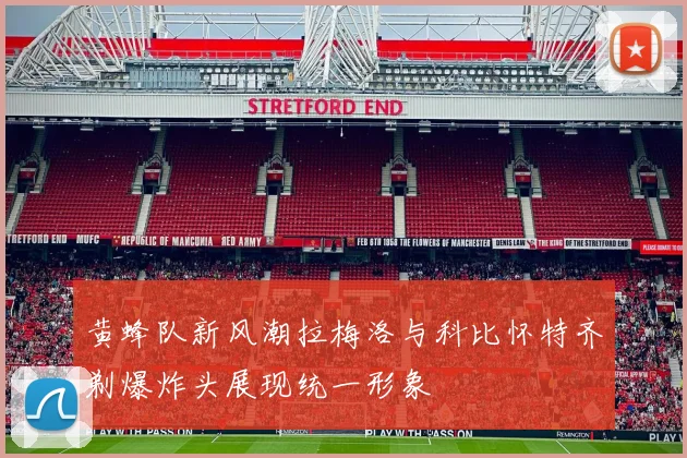 黄蜂队新风潮拉梅洛与科比怀特齐剃爆炸头展现统一形象